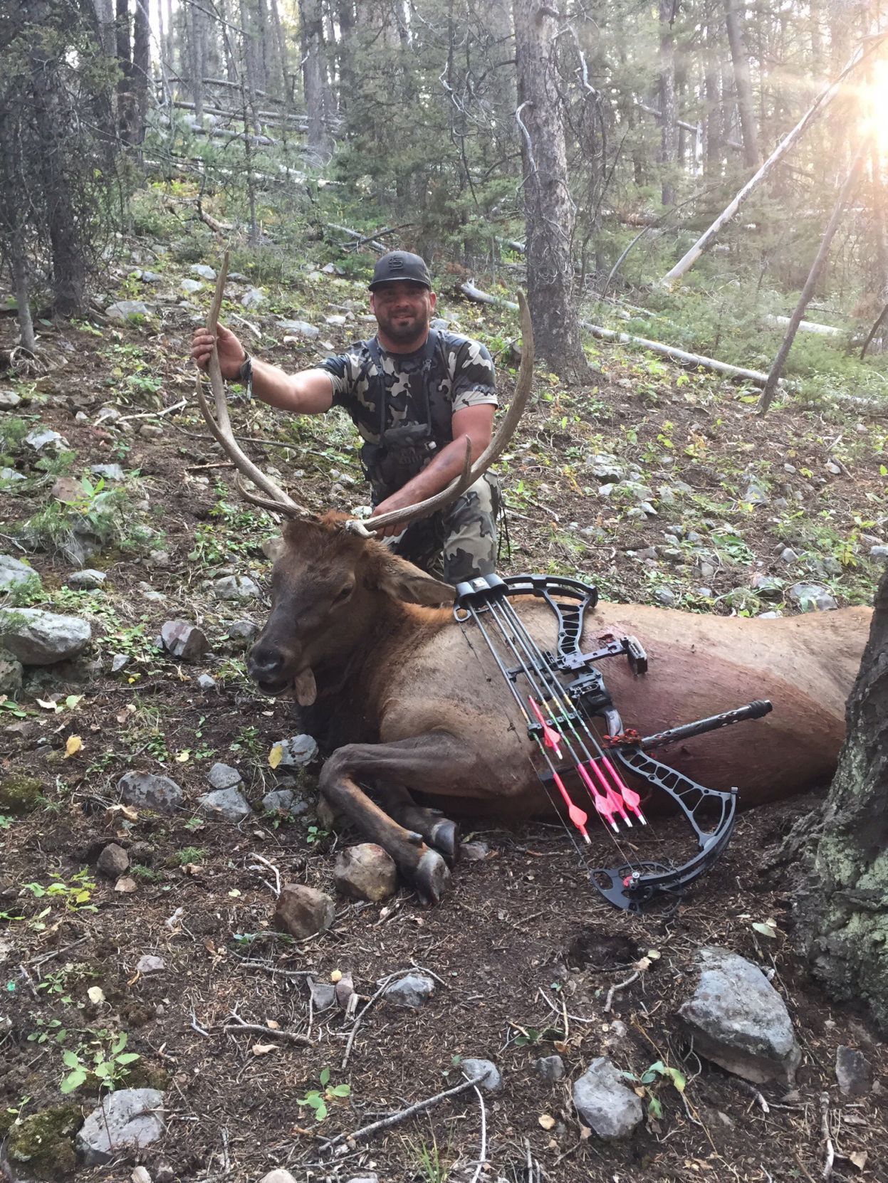 Hunting trophy